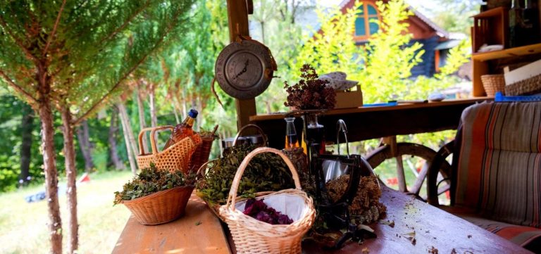 Polish Countryside