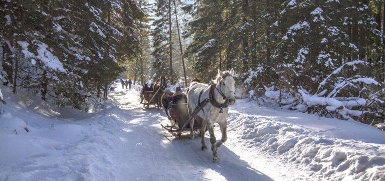 Winter sleigh in Poland