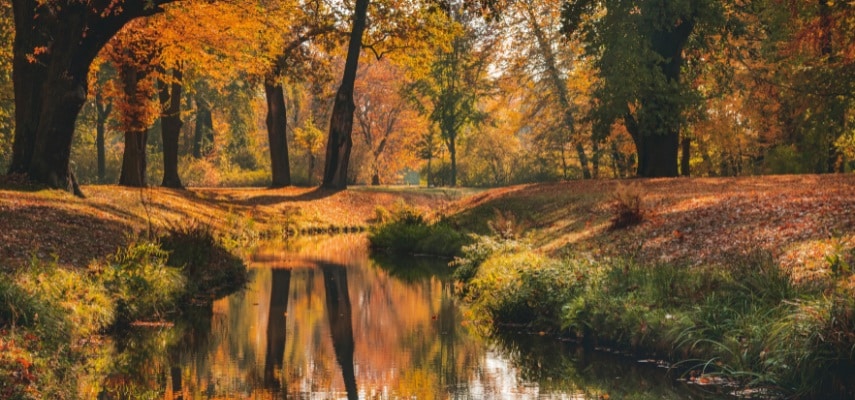 A pastoral view across the landscaped lakes and tree groves of Muskau Park straddling the Polish–German border.